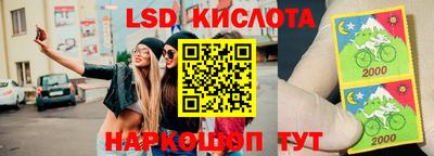 молекула духа Ставрополь